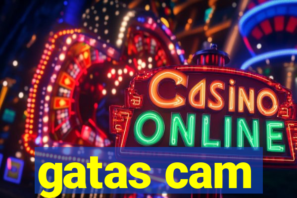 gatas cam